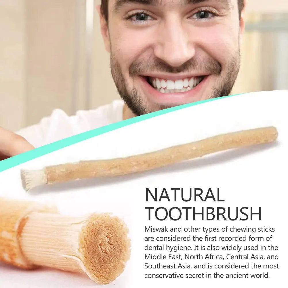 1PCS Portable Natural Miswak Toothbrush – Traditional Teeth Whitener & Manual Tooth Care Stick Fresher Breath for Travel